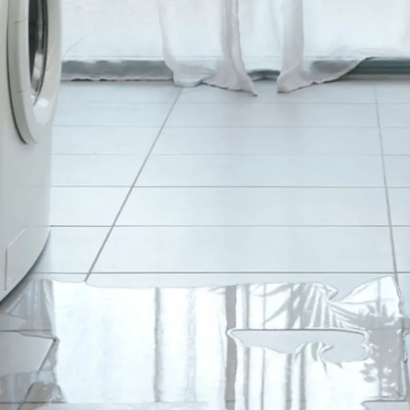 Appliance Leak Cleanup in Maywood, IL