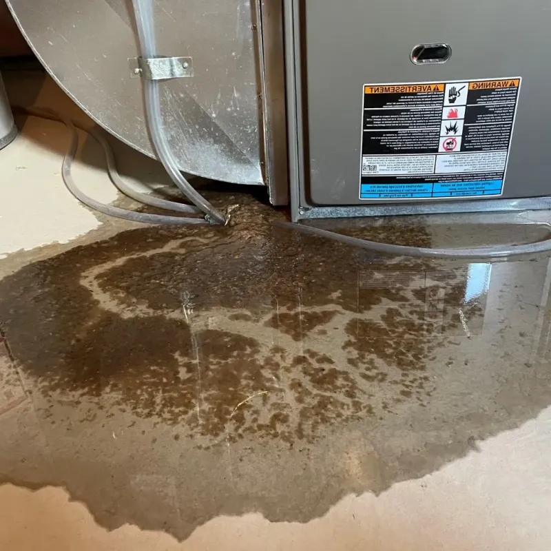 Pipe Burst and Leak Restoration in Maywood, IL